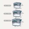 1set Food Preservation Box, Sealed Box, Refrigerator Preservation Box For Vegetables/fruits