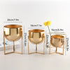 Elegant Golden Metal Flower Stand for Creative Home Decor and Organization