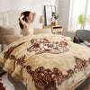 European Style Warm Raschel Blanket for Winter High End Soft Thicken Warmth Weighted Blanket Double Side